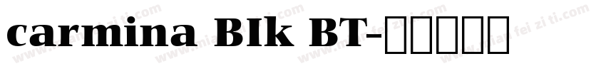 carmina BIk BT字体转换